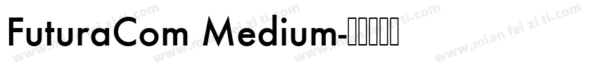 FuturaCom Medium字体转换